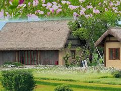 -良渚古城遗址公园