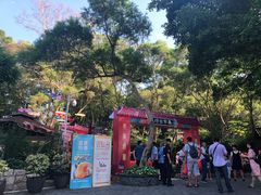 -胡里山炮台
