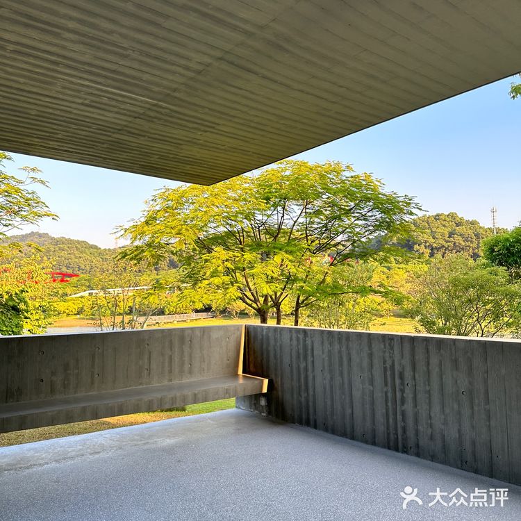 深圳新店｜藏在湖边的治愈系咖啡店☕️