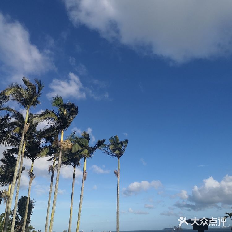 晴天下的鼓浪屿