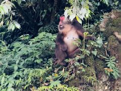 -西岭雪山大飞水景区