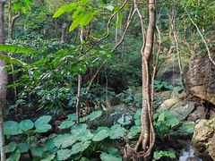 -七仙岭温泉国家森林公园