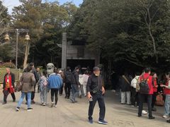 -普陀山慧济禅寺