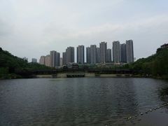 -重庆彩云湖湿地公园