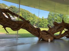 -金泽21世纪美术馆