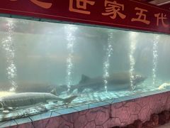 -年辉渔村·非遗传承餐厅(新丰江店)