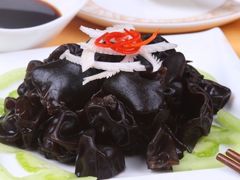 木耳辣根-春發合饭庄