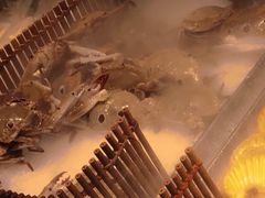 -吉布鲁牛排海鲜自助(硕果时代店)