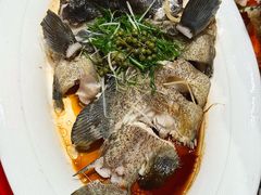 -鑫悦楼煎蟹·16年海鲜大排档