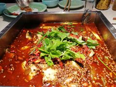 -大龙火锅(龙潭寺旗舰店)