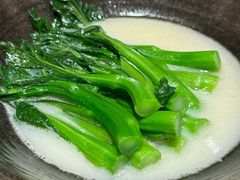 白灼时蔬-广州文华东方酒店·江-由辉师傅主理