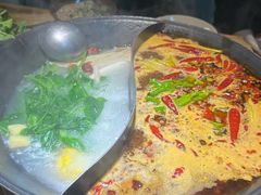 -阳阳老火锅(小南门店)