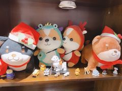 -逗柴咖啡屋·狗咖猫咖宠物桌游