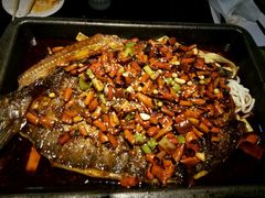 清江鱼-鸣记脆皮烤鱼(铁西店)