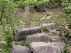 -宁波野生动物园