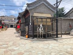 -清风小镇闯关东影视基地