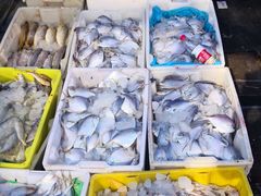 -芦潮港集贸市场