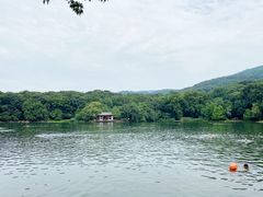 -紫霞湖公园
