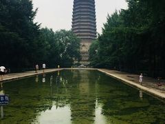 -玲珑塔公园