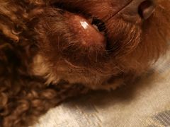 -桂桂茶(万嘉广场店)