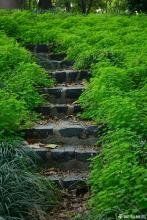 -太子山公园(园东路)
