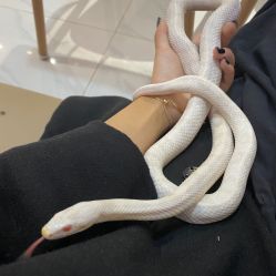 -Moni星球萌宠·小马宝莉·灵蛇·高端高阶全萌宠互动体验俱乐部(红豆国际广场店)