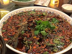 杨记招牌鱼-杨记隆府(南坪店)