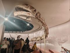 -自贡恐龙博物馆