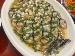 -呼吸森林·生态农庄农家乐私房菜