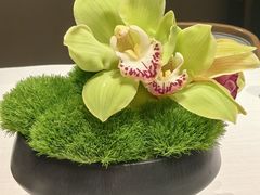 -拾久(朝阳公园店)