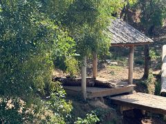 -石家庄市动物园