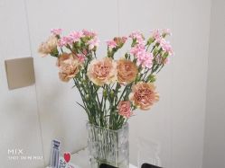 -深圳广和门诊部·整形医疗美容