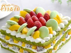 -维尔纳斯·生日蛋糕·动物奶油冰淇淋蛋糕(六里桥店)