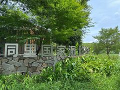 -同里国家湿地公园