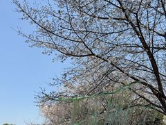 -堤角公园