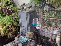 -丽江庭院之爱在路上(西单店)