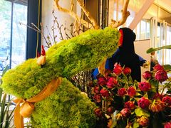 -PlantsEatery·植物食堂(REX春熙店)