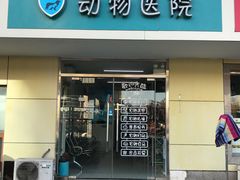 -中农大我爱我爱24h动物医院·中医针灸·猫专科·骨科医疗中心(双井店)