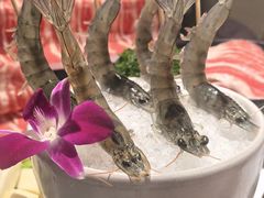 -椰子不语 椰子鸡火锅(淮海店)