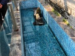 -莹珠阁·私房菜