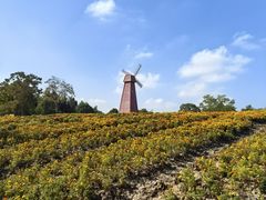 -同里国家湿地公园