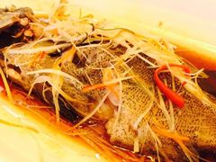 清蒸龙胆鱼-文儒九号·闽菜馆(三坊七巷店)