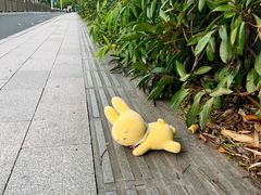 -杭州龙禧福朋喜来登酒店