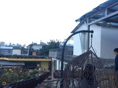 -喵屿·大理花园猫咖