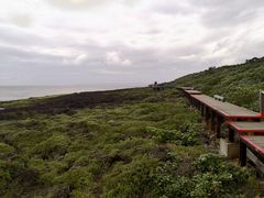 -鹅銮鼻公园
