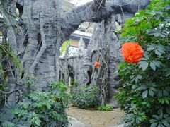 -郑州银基黄帝宫御温泉