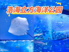 -成都浩海立方海洋公园