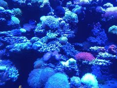 -太平洋海底世界