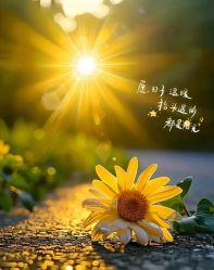 -香薇妮丝·定制减肥·身材管理