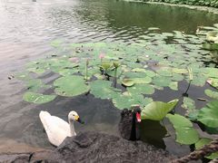 -上海怡沁园度假酒店